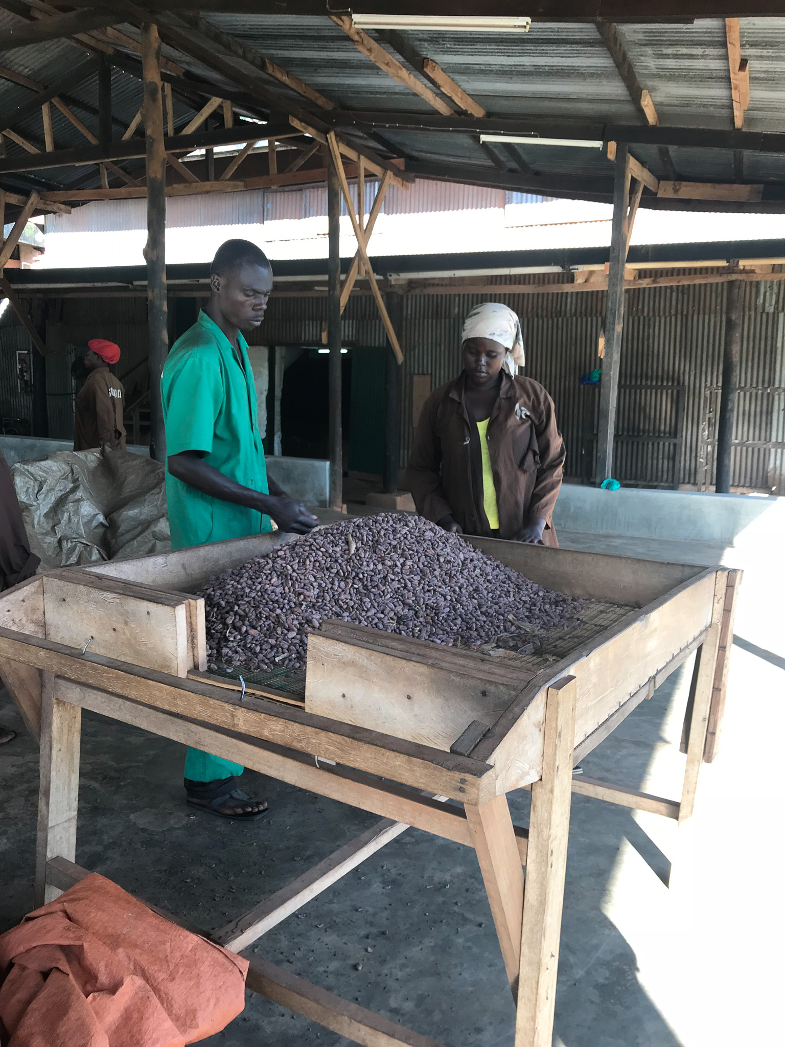 Cocoa sourcing photo